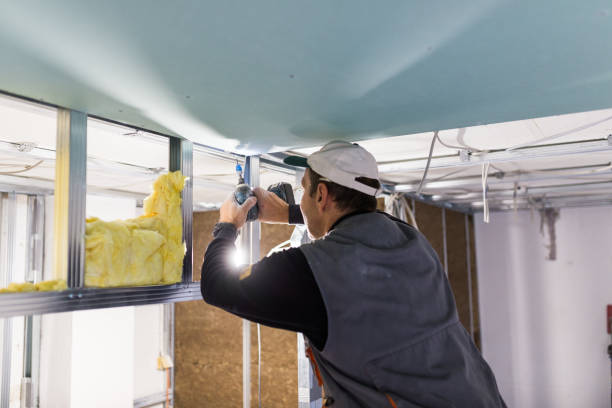 Best Energy Efficiency Insulation in Eureka Mill, SC