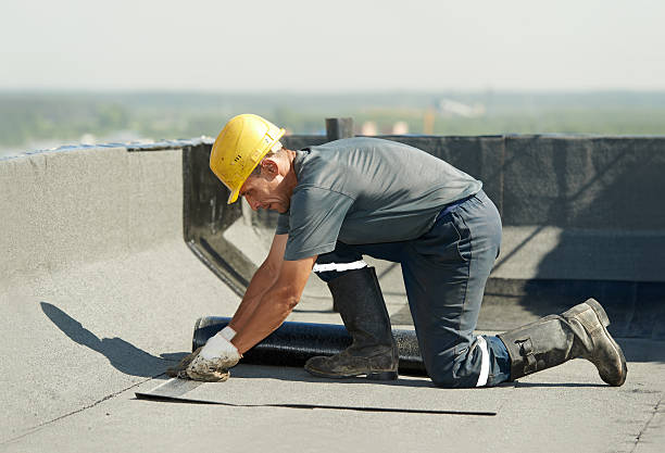 Best Specialized Insulation Services in Eureka Mill, SC
