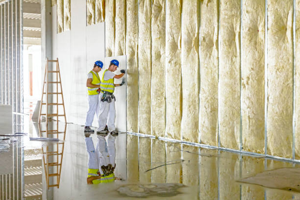 Best DIY Insulation Kits and Guidance in Eureka Mill, SC